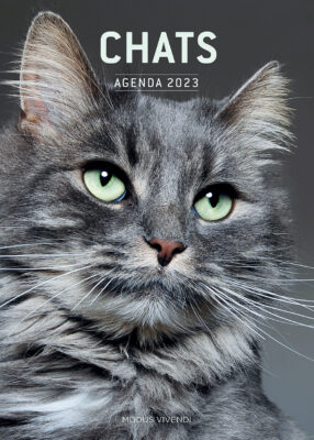 Zen - Agenda 2024 - Modus Vivendi